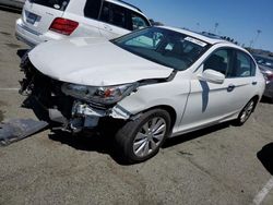 Salvage cars for sale at Vallejo, CA auction: 2013 Honda Accord EXL