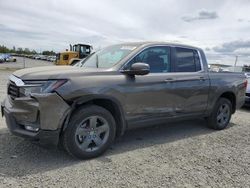 Salvage cars for sale from Copart Eugene, OR: 2023 Honda Ridgeline RTL