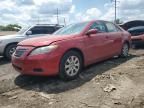 2009 Toyota Camry Hybrid