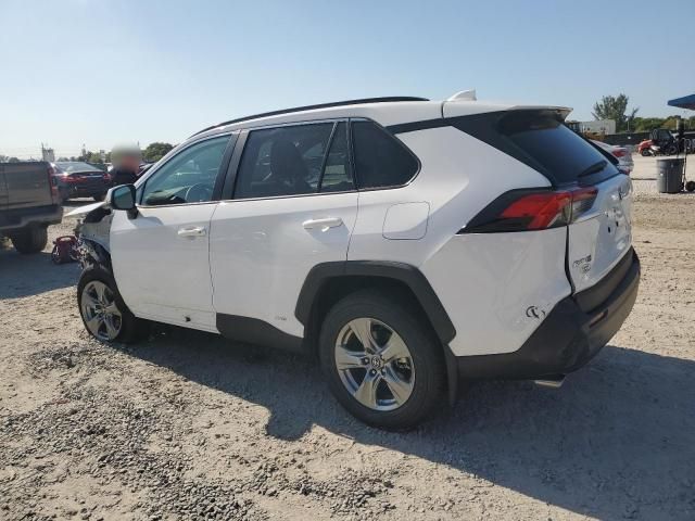 2024 Toyota Rav4 XLE