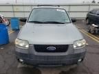 2007 Ford Escape XLT