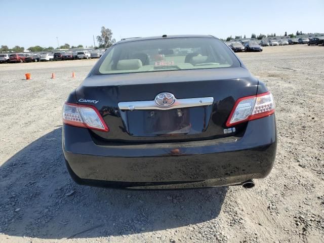 2011 Toyota Camry Hybrid