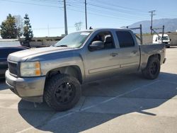 Salvage trucks for sale at Rancho Cucamonga, CA auction: 2008 Chevrolet Silverado C1500