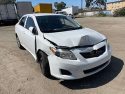 Salvage cars for sale at Sun Valley, CA auction: 2010 Toyota Corolla Base
