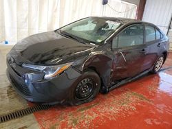Salvage cars for sale at Angola, NY auction: 2024 Toyota Corolla LE