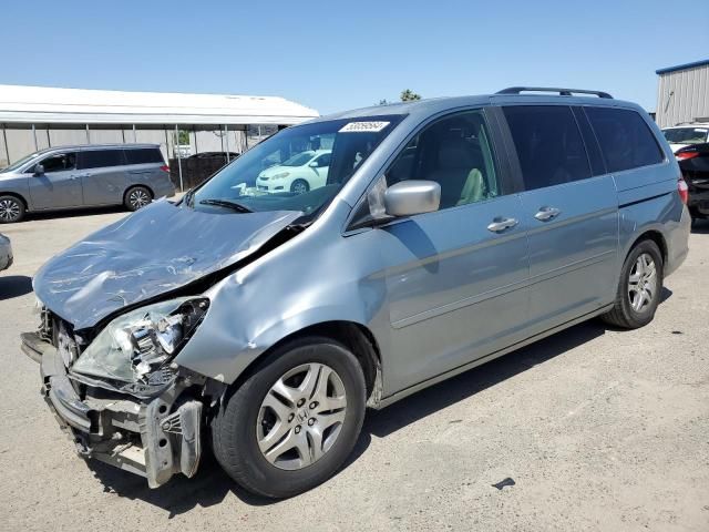 2005 Honda Odyssey EXL