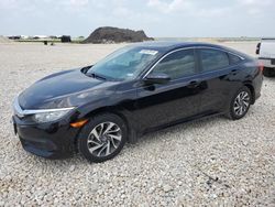 Salvage cars for sale at New Braunfels, TX auction: 2016 Honda Civic EX