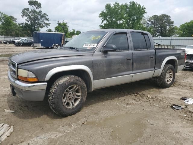 2004 Dodge Dakota Quad SLT