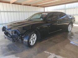 Salvage cars for sale at Andrews, TX auction: 2013 Dodge Charger SE