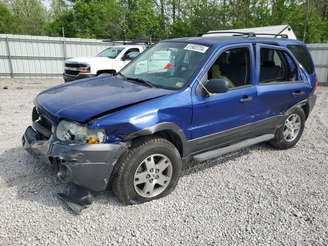 2005 Ford Escape XLT