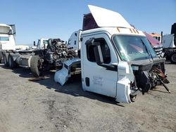Salvage trucks for sale at Bakersfield, CA auction: 2019 Freightliner Cascadia 126