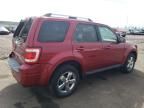 2009 Ford Escape Limited