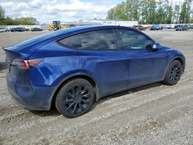 2020 Tesla Model Y