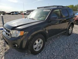 Salvage cars for sale at Wayland, MI auction: 2011 Ford Escape XLT