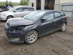 Ford Focus salvage cars for sale: 2015 Ford Focus SE