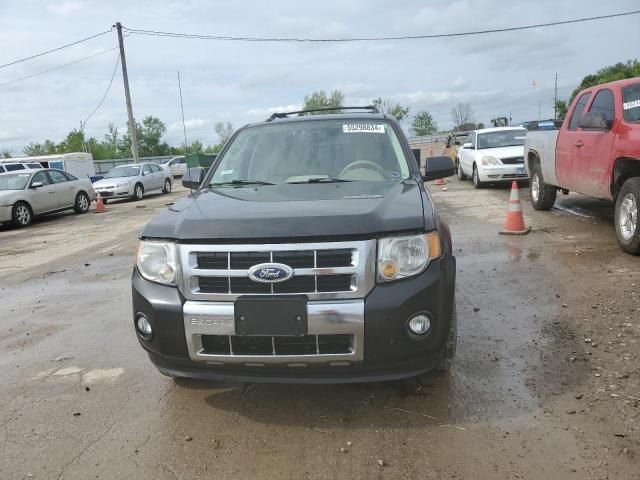 2011 Ford Escape Limited