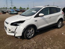 Salvage cars for sale at Elgin, IL auction: 2016 Ford Escape Titanium