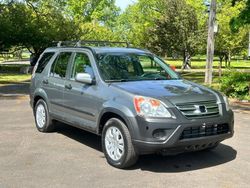 Salvage cars for sale at Brookhaven, NY auction: 2006 Honda CR-V EX