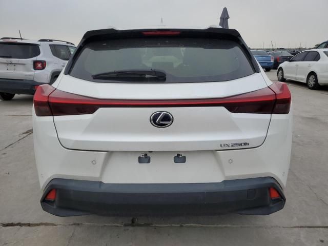 2019 Lexus UX 250H