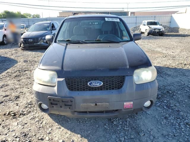 2007 Ford Escape XLT