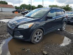 Salvage cars for sale from Copart Columbus, OH: 2014 Ford Escape SE