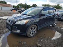 Ford Escape se salvage cars for sale: 2014 Ford Escape SE