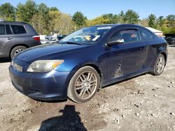 Scion Scion salvage cars for sale: 2007 Scion TC