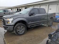 Salvage cars for sale at Louisville, KY auction: 2016 Ford F150 Supercrew
