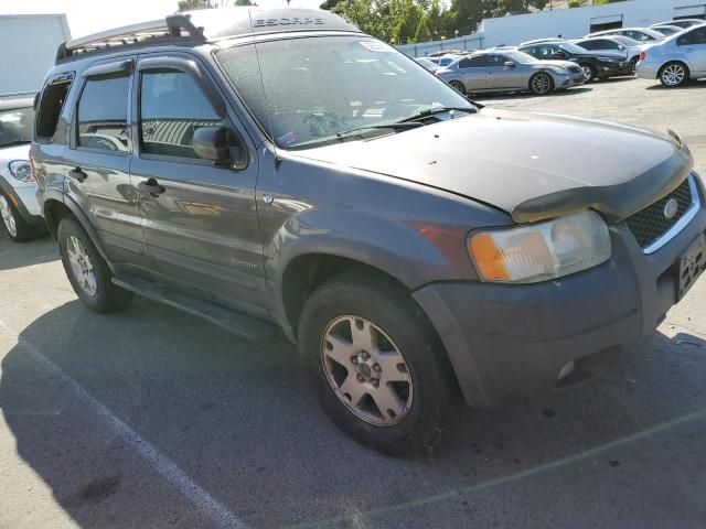 2002 Ford Escape XLT