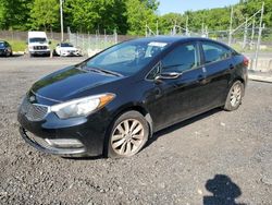 KIA Forte LX salvage cars for sale: 2014 KIA Forte LX