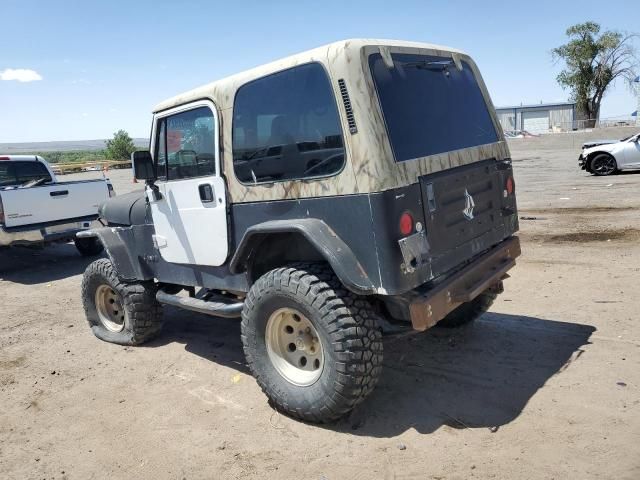 1994 Jeep Wrangler / YJ S