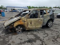Salvage cars for sale at Pennsburg, PA auction: 2013 Ford Escape SE