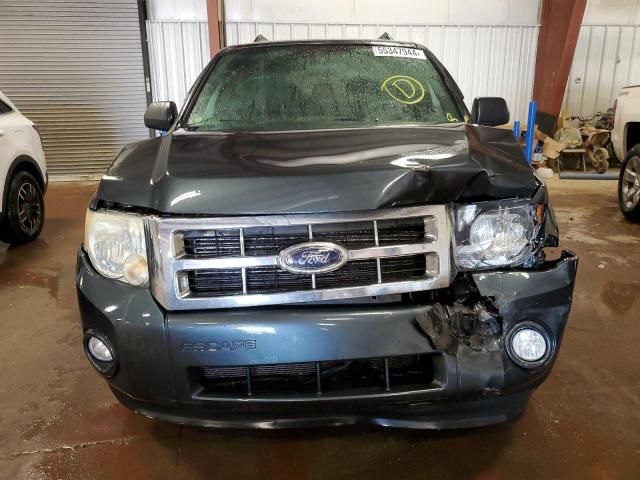 2008 Ford Escape XLT