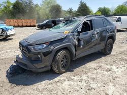 Salvage cars for sale at Madisonville, TN auction: 2019 Toyota Rav4 Adventure