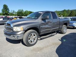 Salvage cars for sale at Grantville, PA auction: 2004 Dodge RAM 1500 ST