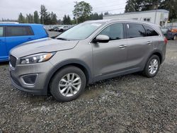 Salvage cars for sale at Graham, WA auction: 2017 KIA Sorento LX