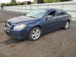 Salvage cars for sale from Copart New Britain, CT: 2010 Chevrolet Malibu LS