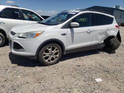 Ford Escape SE salvage cars for sale: 2013 Ford Escape SE