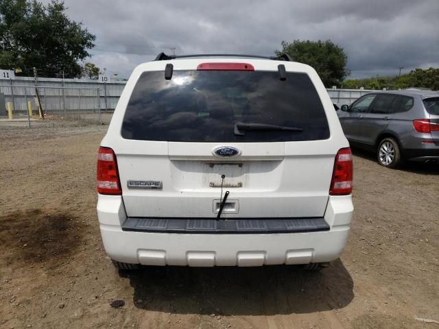 2010 Ford Escape XLT