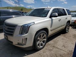 Salvage cars for sale at Brighton, CO auction: 2015 Cadillac Escalade Premium