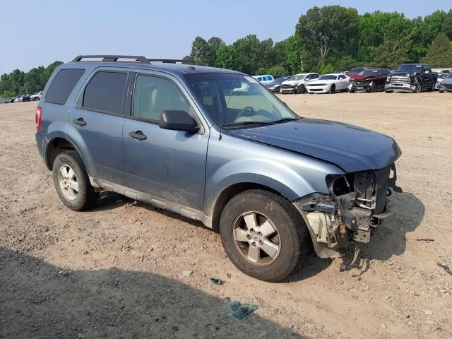 2010 Ford Escape XLT