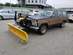 1987 Jeep Grand Wagoneer