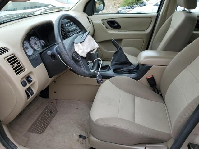 2007 Ford Escape XLS