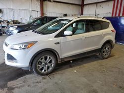 Salvage cars for sale from Copart Billings, MT: 2014 Ford Escape Titanium