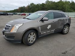 Salvage cars for sale at Brookhaven, NY auction: 2011 Cadillac SRX Luxury Collection