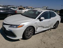 Salvage cars for sale from Copart Antelope, CA: 2021 Toyota Camry XLE