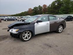 Salvage cars for sale from Copart Brookhaven, NY: 2013 Nissan Maxima S