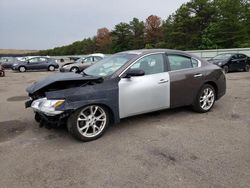 Nissan Maxima S salvage cars for sale: 2013 Nissan Maxima S