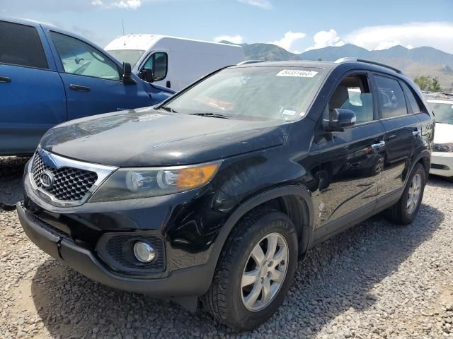 2011 KIA Sorento Base