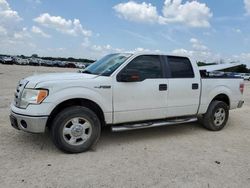 Salvage cars for sale from Copart San Antonio, TX: 2010 Ford F150 Supercrew